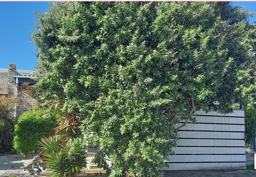 Bedroom Property for Sale in Kleinbaai Western Cape